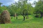 Teren intravilan de vanzare 5991.mp loc ?otrile - 6