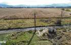 Teren 5 hectare de vanzare prejmer Brasov