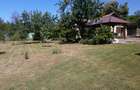 Vand casa cu anexe si gradina 2664 m2, Bascenii de Sus - 4