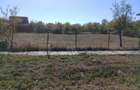 vand gradina 600m2 in ianova jud timis