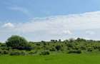 Teren Extravilan de Vanzare, zona Episcopia, Oradea, judetul Bihor