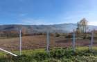 Surduc, teren curti si gradina, 4.316 mp in localitatea Fardea - 3