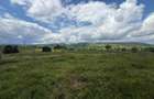 Teren | 13600 mp | Marisel - 3