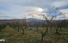 Teren extravilan 10,791mp Falticeni / Strada DJ209A, Opriseni