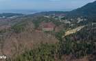 Teren intravilan, 56000 mp, Poiana Brasov