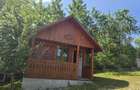 1,8 Ha Livada la Poalele Padurii | Casa + 2 Cabane | 700 Pomi Fructiferi | 200.000 Negociabil - 1