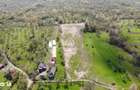 Teren 1,93 ha in Breb, Maramure? zona pitoreasca, Taul Sarat - 5