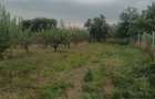 Teren Cepari 500mp 5000 Euro - 1