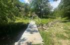 Casa de vacanta 98 mp| 25.000 mp teren| zona Valea Vintului - 7