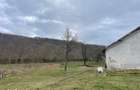 Hala de vanzare - 18246 mp, acces pietruit - 14