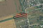 TEREN intravilan S= 5000 mp Curtisoara! - 1