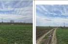 Teren extravilan Cota parte 29/64 Greaca, ID: R3030129 - 8