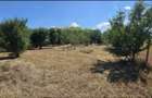 Vand Teren 2930 mp Loc. Masca Arad