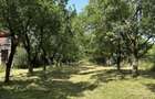 Teren Intravilan Cu Utilitati Tocile Str Stejarului Panorama Deosebita - 1