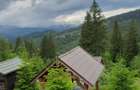 Cabana de inchiriat BELIS, ciubar +sauna incluse DEALU BOTII - 8