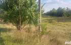 teren intravilan Gorgota 5700 m deschidere la DN1 30m - 1