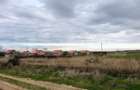 Teren intravilan 3.800 mp, zonă liniștită, Malu Mare