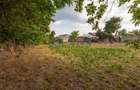 TEREN 949 MP CU CASĂ – STR. MILITARI, BACĂU | OCAZIE RARĂ - 9
