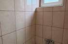 Apartament cu 3 camere decomandate, complet renovat,ultracentral Carei - 5