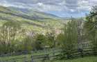 Teren intravilan 1200mp Tesila ~Valea Doftanei 0735.131.492