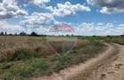 Oportunitate investitie - Potential dezvoltare -Teren 9843 mp Crevedia - 5