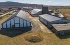 Hale industriale de închiriat în Tg Neamț - 5