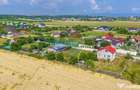 Teren 1400 mp intravilan Bod/ DE VANZARE! - 7