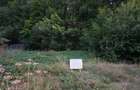 Teren Intravilan cu Utilitati la Strada si Padure in Spate Padurea Neagra, Bihor - 6