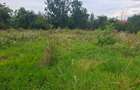 Casă individuală cu 3 camere cu Teren 1000 Mp în Didești - 6