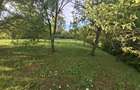 Proprietar vand 5524 mp teren intravilan in Comarnic, str.Poiana 185 -oferta excelenta pe axa Buc-BV - 2