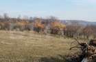 Teren intravilan 21/mp suprafata 3360 mp - 4