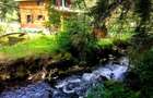 Casa din grinzi pe marginea paraului Borzont - 5
