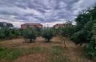 Teren intravilan 1.668 mp, Cetate, 44 ml deschidere, toate utilitățile