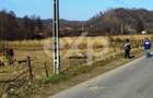 Teren intravilan 21.000 mp de vanzare Suseni, Comuna Bogati, Judet - 3