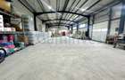 Hala noua de vanzare, Parc Industrial Bors, Bihor, Gaminvest, V4126 - 1