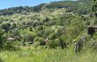 De vanzare: Teren 1000 mp intravilan in Bunesti - Malureni, Arges - 1