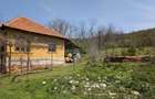 Teren 1500 mp + casa veche | Milesti - Simnicu de Sus - 8