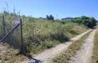 Teren 500 mp la limita intravilanului investitie si relaxare aproape de oras - 4