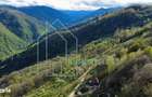 Teren panoramic cu cabana traditionala din barne 4 km de Sugag, Al - 2