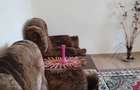 Inchiriere apartament 2 camere - zona Spiru Haret - 4