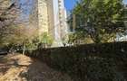 Apartament 1 camera, parter, zona Vivo Mall - 12
