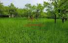 Teren intravilan in Scorteni--3999mp--55.000e - 4