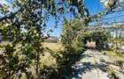 Teren de vanzare cu constructie existenta | 1.300 mp | Cisnadie - 10