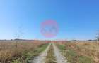 Teren Costinesti 1000 mp, Aproape de Plaja si de Nibiru, Ide - 8
