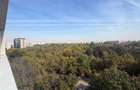 Baba Novac, Campia Libertatii, vedere panoramica spre parcul IOR