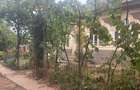 Casa individuala, 150 mo, teren 2023 mp, zona Leu - 9