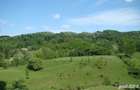 Vanzare teren 5800 mp Valea Lunga Dambovita - 1