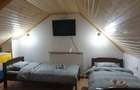 Cabana de tip duplex in Straja Lupeni - 10
