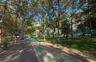 Proprietar Matei Ambrozie, Park Lake, Parc Titan IOR - Bucuresti (Bucuresti-Ilfov) - 11