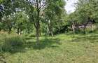 Casa la tara , curte/gradina 3450 m2 PRET NOU - 6
